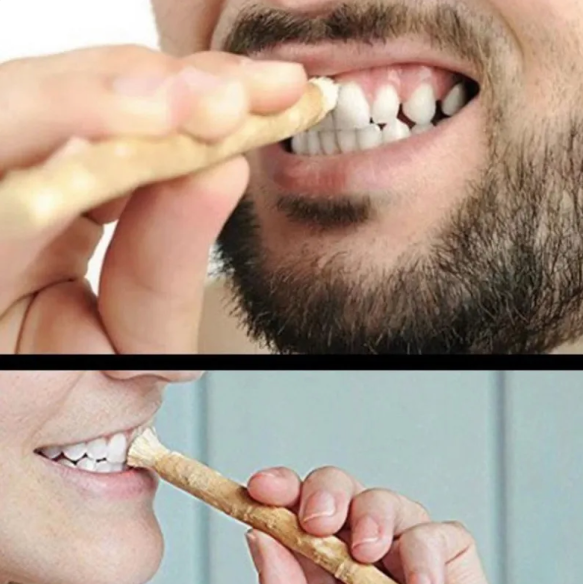 Nature's Perfect Toothbrush