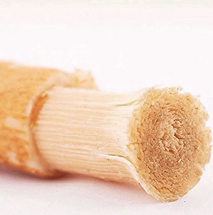 Nature's Perfect Toothbrush